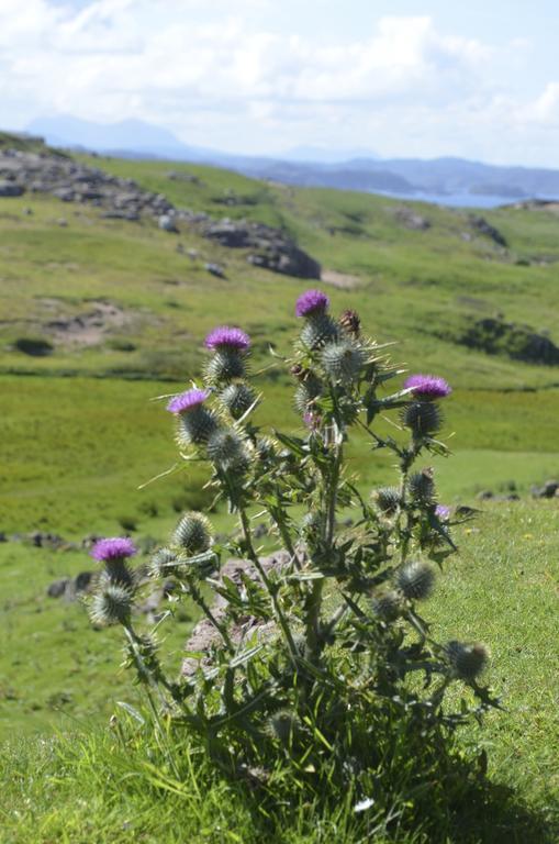 Highland Holiday House Villa Durness Dış mekan fotoğraf